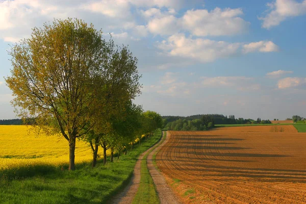 Мальовничий Вид Сільські Пейзажі — стокове фото