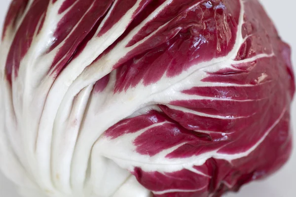 Radicchio Primo Piano Formato Completo — Foto Stock