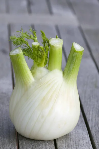 Gesunde Ernährung Mit Frischem Fenchel — Stockfoto