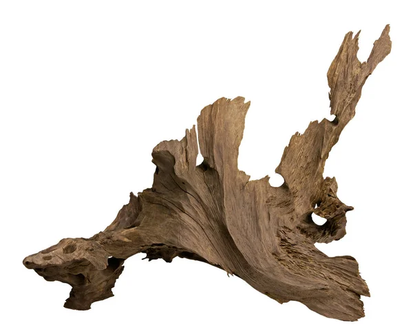 Driftwood Geïsoleerd Witte Achtergrond Aquariumornament — Stockfoto