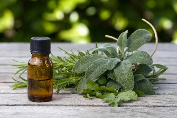 Örtessens Med Salvia Och Rosmarin Med Färska Blad Bakgrunden — Stockfoto