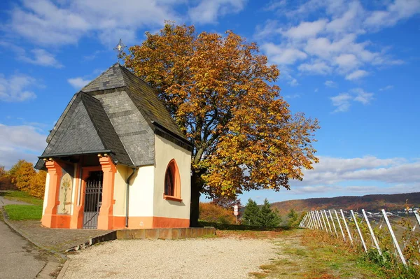 Виноградниках Выше Bernkastel Kues — стоковое фото