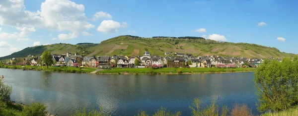 Vista Sul Villaggio Lucerna Svizzera — Foto Stock