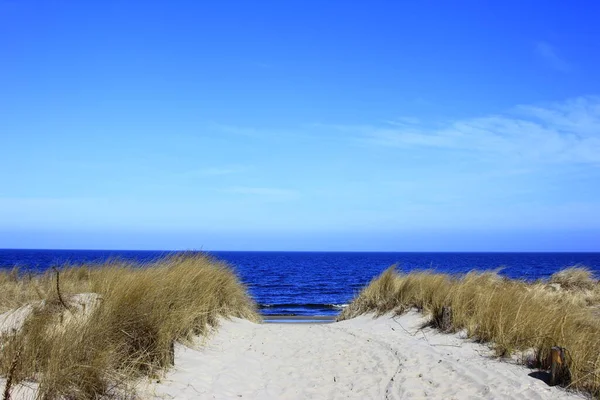 Vista Panorâmica Caminho Para Praia — Fotografia de Stock