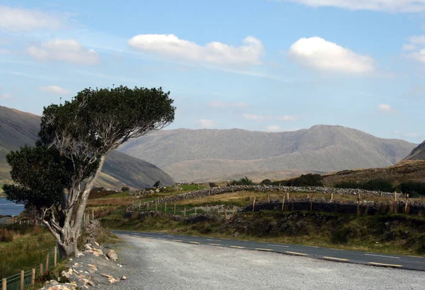 Landschaft Irland — Stockfoto