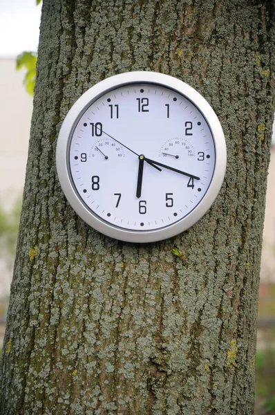 Watch Time Clock Deadline — Stock Photo, Image