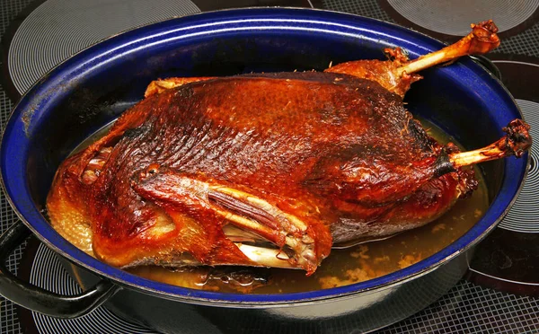 Gourmet Duck Duck Bratentopf — Stock Photo, Image