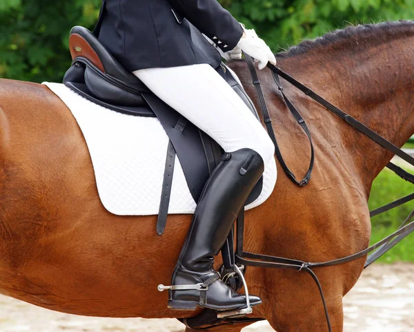 Detalhe Equestre Mulher Cavalo — Fotografia de Stock