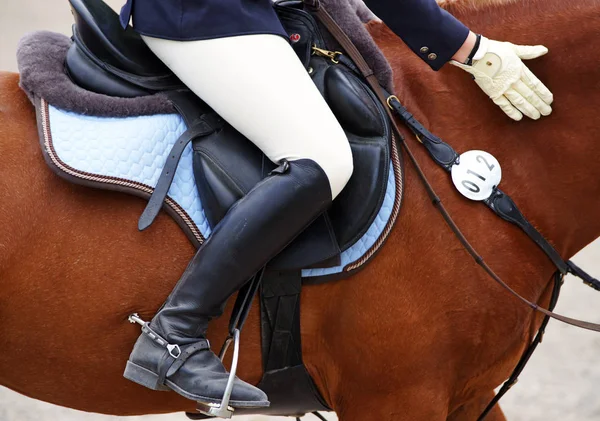 Jezdecká Detail Kůň Žena — Stock fotografie