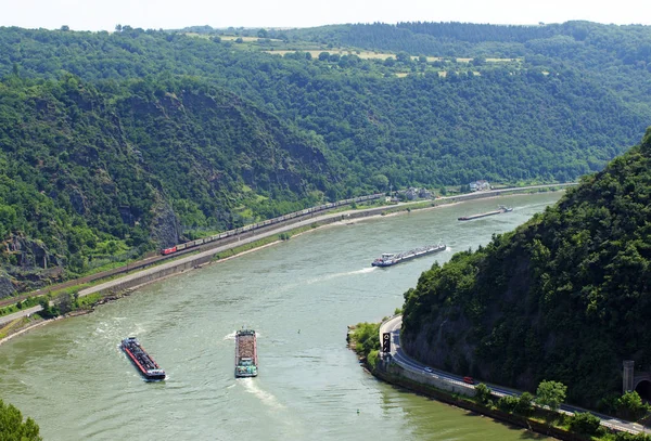 Ρινόκερος Στο Loreley Rock — Φωτογραφία Αρχείου