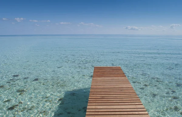 Bella Vista Sulla Natura — Foto Stock