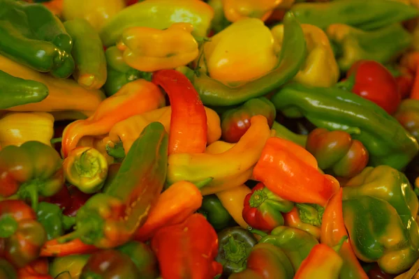 农民市场上出售的成堆的红 橙辣椒 — 图库照片