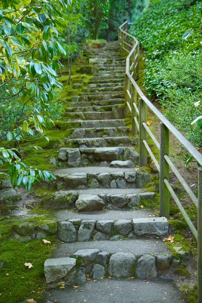 Escalier Japonais Pierre Jardin Recouvert Mousse Entouré Feuilles Vertes — Photo