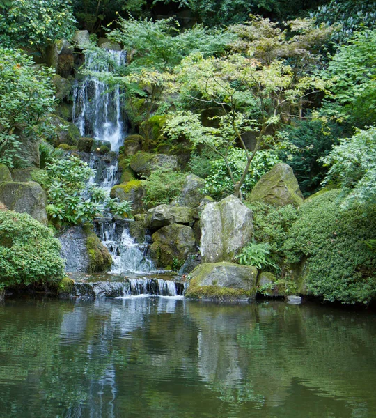 Belle Cascade Sur Fond Nature — Photo