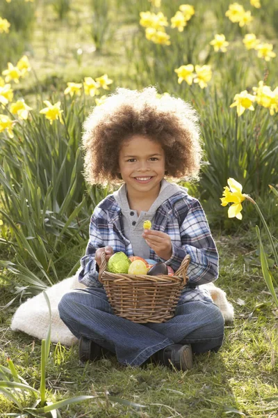 Paskalya Yumurtası Avına Daffodil Alanında Boy — Stok fotoğraf
