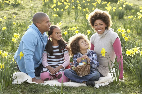 Familia Relajante Campo Narcisos Primavera — Foto de Stock