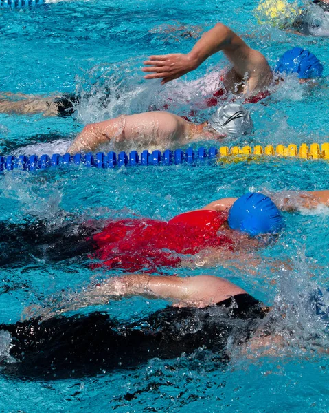 Freestyle Úszó Versenyben — Stock Fotó
