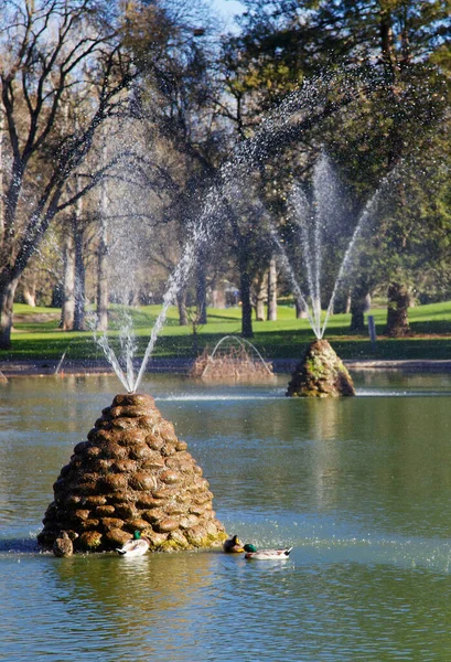 Dvě Fontány Tvaru Úlu Parku Sacramento Měkkými Zaostřenými Stromy Kachnami — Stock fotografie