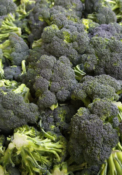 Tumpukan Brokoli Hijau Tua Pasar Petani Sacramento — Stok Foto
