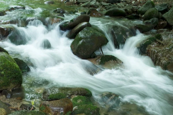 Řeka Horách Zelená Jarní — Stock fotografie