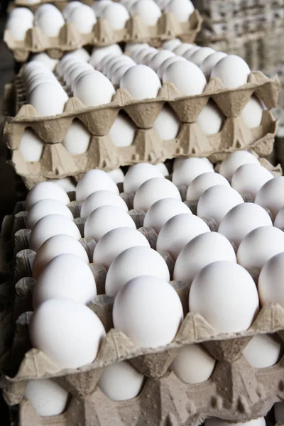 농부들이 시장에서 달걀이 상자들 — 스톡 사진