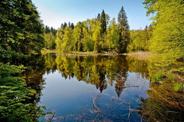 Vacker Utsikt Över Naturen — Stockfoto