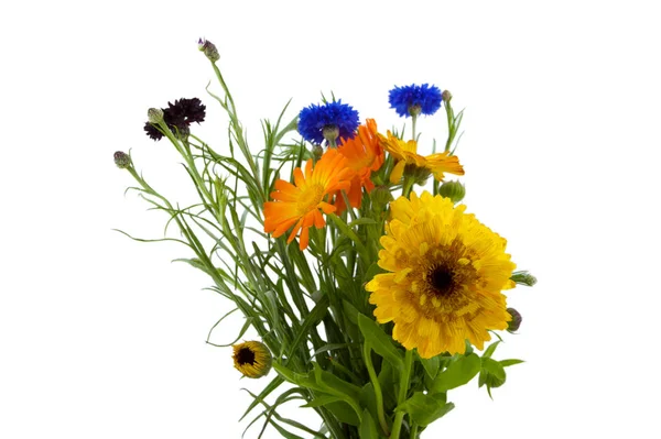 Eine Anordnung Blauer Gelber Und Orangefarbener Blüten Mit Grünen Stängeln — Stockfoto