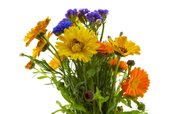 Eine Anordnung Blauer Gelber Und Orangefarbener Blüten Mit Grünen Stängeln — Stockfoto