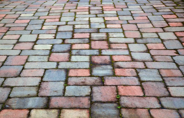 Old Red Blue Brick Paver Patio Level — Stock Photo, Image