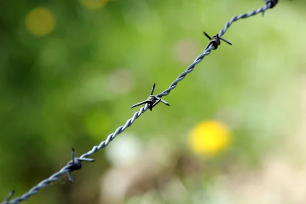Barbed Wire Fence Nature — Stock Photo, Image