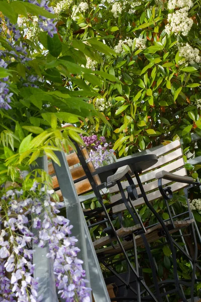 Varanda Com Assentos Wisteria Azul — Fotografia de Stock