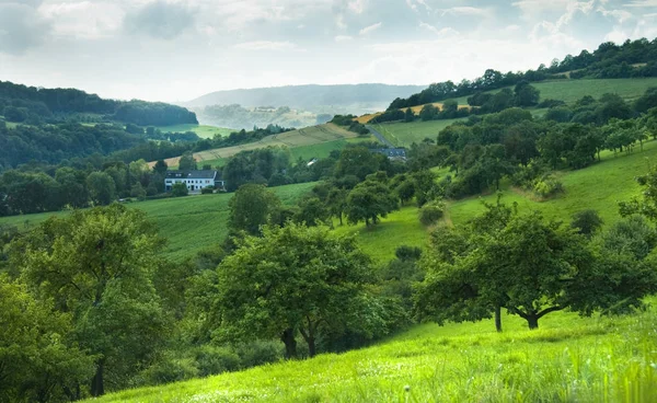 夏のルクセンブルク ヨーロッパの緑の丘の風景 — ストック写真