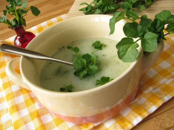 Comida Vegetariana Enfoque Selectivo — Foto de Stock