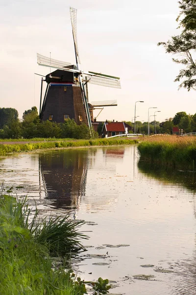 Moinhos Vento Holandeses Com Reflexão Após Nascer Sol Primavera Vertical — Fotografia de Stock