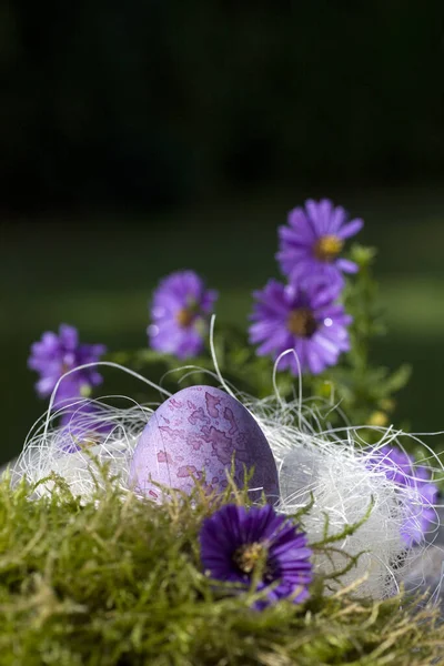 Húsvéti Tojások Lilában Hevernek Fészekben Virágokkal — Stock Fotó