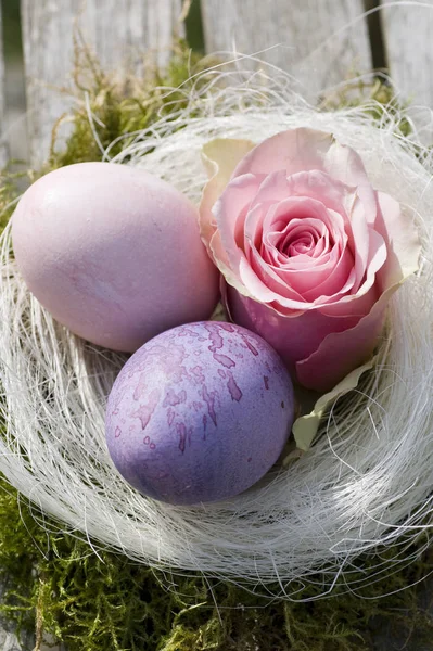 Два Пасхальных Яйца Пастели Розовой Розой Стиле Кантри — стоковое фото