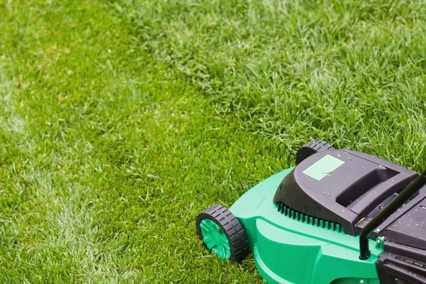 Grasmaaier Groen Gras — Stockfoto