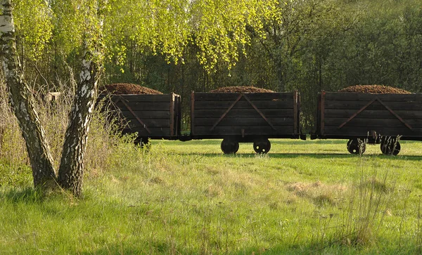 Prachtig Uitzicht Natuur Scene — Stockfoto