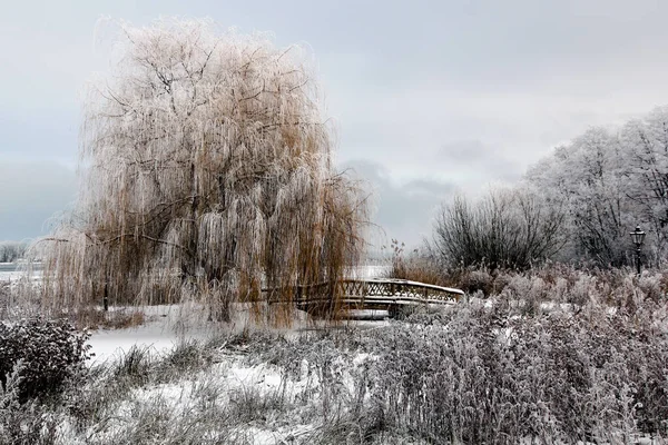 Paisaje Invierno Schweriner Ver —  Fotos de Stock