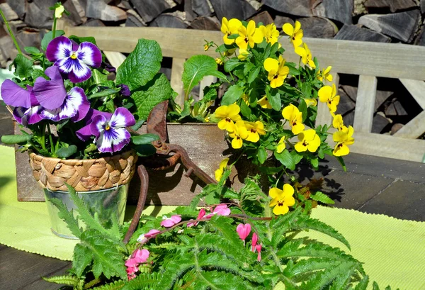 Romântico Jardim Floral Terraço Com Decoração — Fotografia de Stock