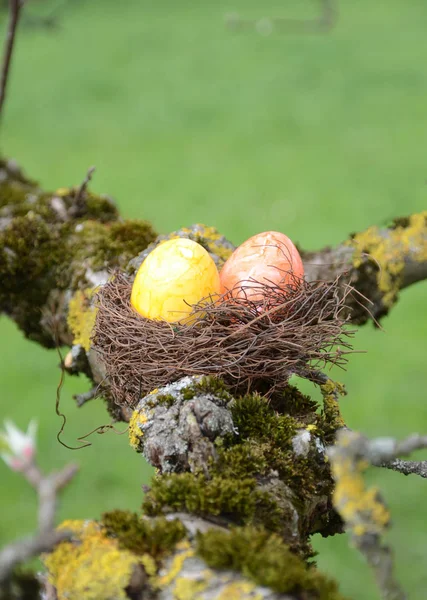 easter eggs on apple tree