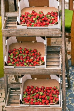 Berries closeup shot, healthy food concept clipart