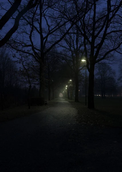 Malebný Výhled Venkovní Scénu — Stock fotografie