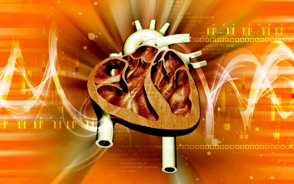Cyfrowa Ilustracja Serca Tle Koloru — Zdjęcie stockowe