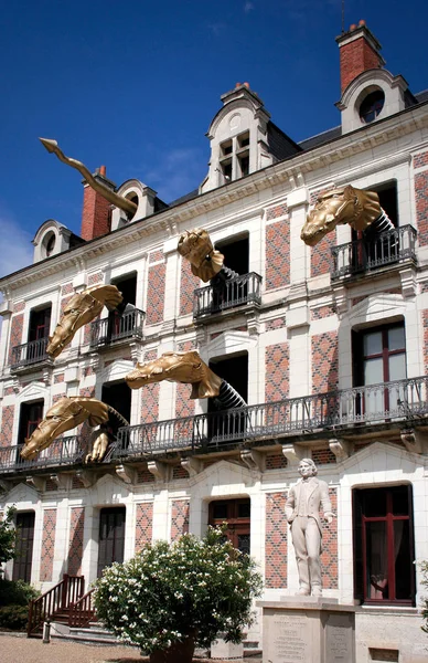 Daken Van Blois Loire — Stockfoto