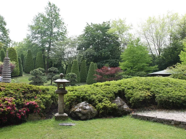 日本花园 自然植物 — 图库照片