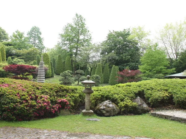 日本花园 自然植物 — 图库照片