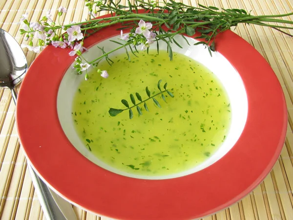 Wildkräutersuppe Mit Wiesenschaum — Stockfoto