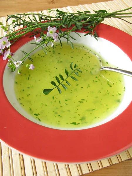 Soupe Aux Herbes Sauvages Avec Herbe Pré Mousse — Photo