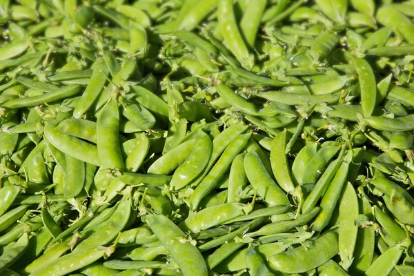 농부들이 시장에서 재배하는 완두콩 — 스톡 사진